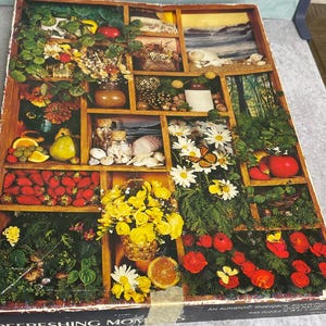 Vintage Springbok Refreshing Moments puzzle flowers 23.5&#39; x 18&quot; over 500 pcs