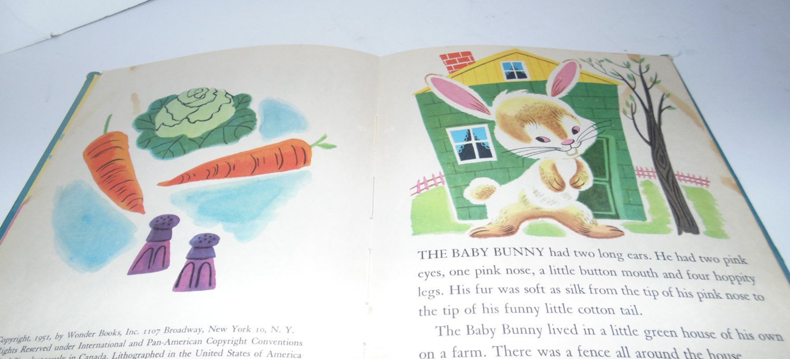 Vintage The Baby Bunny book 1951 Alf Evers Wonder Book Etsy