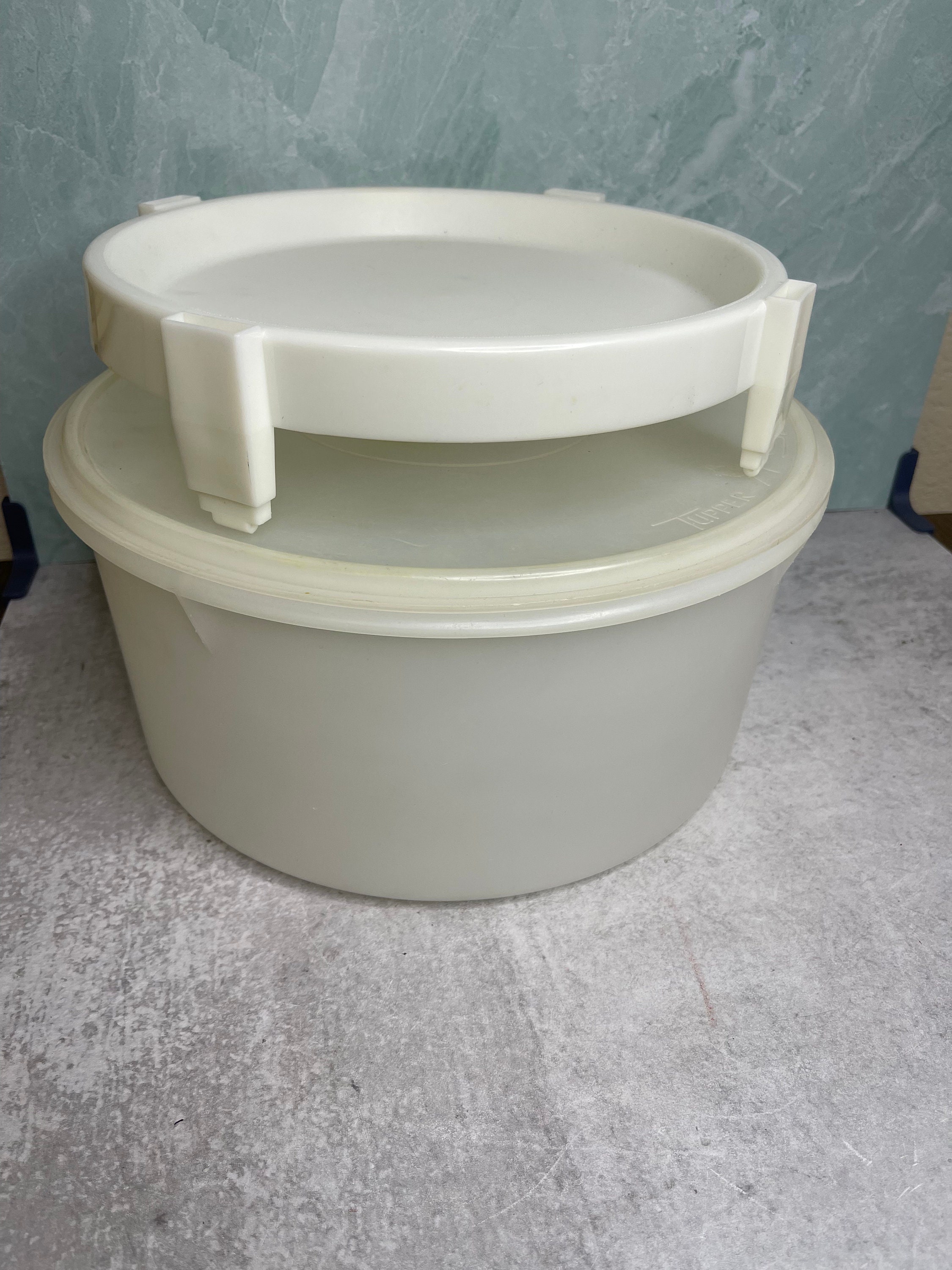 Vintage Tupperware 256-8 Large Carry All Container With Lid 224-16