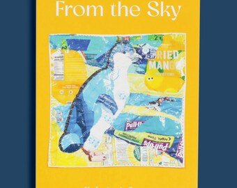From the Sky: Collage Bird Board Book