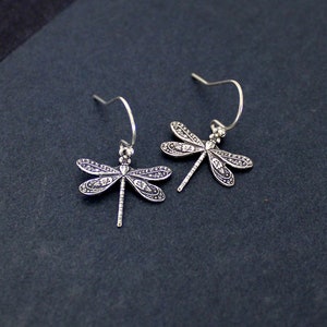 May include: A pair of silver dragonfly earrings with delicate wings.
