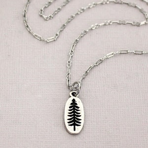 May include: A silver chain necklace with a small oval pendant featuring a black silhouette of a pine tree.