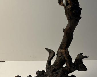 Vintage Gnarled Wood Burl Sculpture 17in Organic Modern Driftwood Root Decor