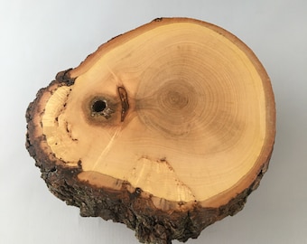 Thick Bonsai display slab