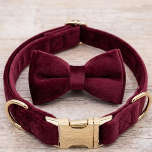 May include: A deep burgundy velvet pet collar featuring a matching bow tie attachment. The collar includes a polished gold-tone metal side-release buckle and a gold-tone D-ring for leash attachment, providing a secure and elegant look for a pet.