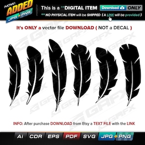 6 Feathers Vectors ai, cdr, eps, pdf, svg and also jpg, png - Instant Download -- 47 Files TOTAL (9 Folders)
