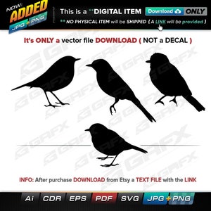 4 Birds Vectors ai, cdr, eps, pdf, svg and also jpg, png - Instant Download -- 33 Files TOTAL (9 Folders)