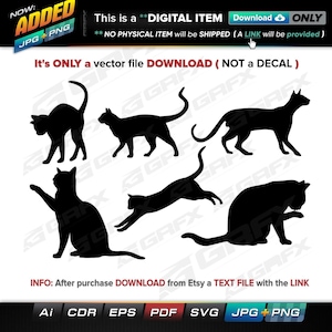 6 Cats Vectors ai, cdr, eps, pdf, svg and also jpg, png - Instant Download -- 47 Files TOTAL (9 Folders)