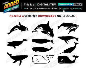 11 Whale Vectors ai, cdr, eps, pdf, svg and also jpg, png - Instant Download -- 82 Files TOTAL (9 Folders)
