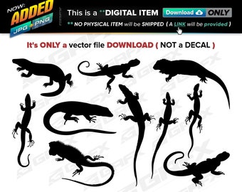 10 Lizards Vectors ai, cdr, eps, pdf, svg and also jpg, png - Instant Download -- 75 Files TOTAL (9 Folders)