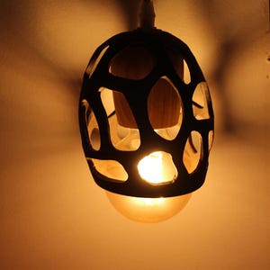 May include: A pendant light fixture featuring a dark, organic, web-like cage structure surrounding a central light bulb. The light emits a warm, golden glow, casting soft shadows through the irregular, rounded openings of the black outer shell.