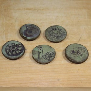 May include: Five circular, sage green ceramic tokens featuring dark, etched illustrations. The designs include an ammonite fossil, a spiral shell, an octopus, a snail, and a bee. Each token has a smooth, matte finish and a distinct, detailed graphic.