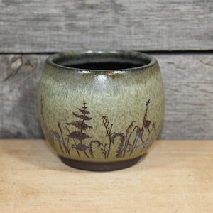 May include: A round ceramic cup with a mottled sage green glaze and a dark brown base. The exterior features a dark brown botanical print of various ferns and wild grasses encircling the body, with a smooth, rounded rim and a deep interior.