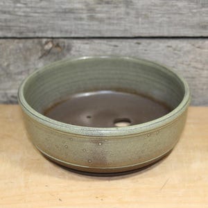 Green Spotted Bonsai Planter Pot