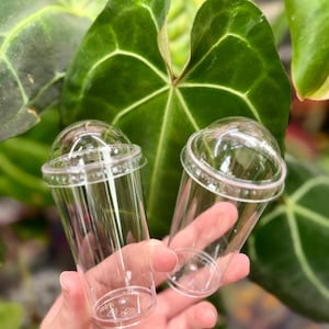 May include: Two clear plastic cups with matching dome-shaped lids. Each cup features a smooth, cylindrical body and a rounded, transparent cover that snaps onto the rim. The design is entirely transparent, showcasing a simple and functional structure.
