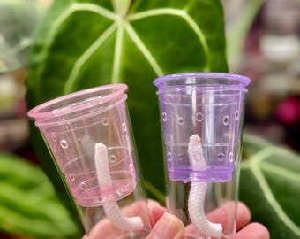 Self-Watering Corm/Tissue Culture Mini Cup