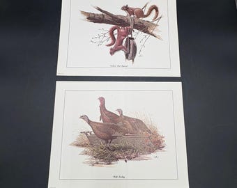 Vintage Don Balke Wildlife Art Prints Set 2 Squirrel & Wild Turkey 14x11