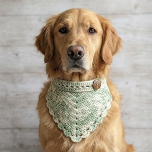 May include: A golden retriever dog wearing a triangular crochet bandana. The bandana is crafted from variegated light green and white yarn, featuring a scalloped edge and a single brown wooden button closure at the side of the neck.