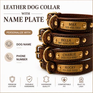 PDF Mönster för Läderhalsband till Hund | Gör Det Själv Mall | Utskrivbar A4 & US Letter | Digital Nedladdning