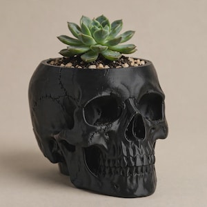 May include: A matte black skull-shaped planter featuring a realistic anatomical design with visible suture lines. A small green succulent plant is potted inside the top of the skull, surrounded by light-colored soil and small pebbles.