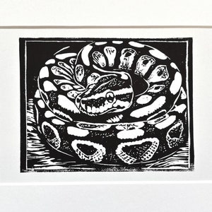 Peut inclure: Estampe en linogravure en noir et blanc représentant un serpent python royal enroulé. Le serpent est représenté dans un style artistique détaillé, mettant en valeur ses écailles à motifs. L'estampe est encadrée et prête à être exposée.