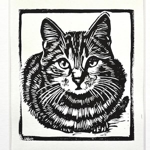 Gato gatito Felis cattus linocut impresión en bloque - Colecciones de mascotas