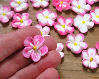 2 docenas de flores de glaseado real blancas con puntas rosadas / 24 piezas / 3/4 de pulgada / Flores de azúcar / Decoraciones comestibles para pasteles
