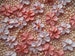 Made to order | 1 dozen royal icing cherry blossoms | 3/4 inch | Sugar flowers fondant flowers | Edible cake decorations | Cupcake toppers 