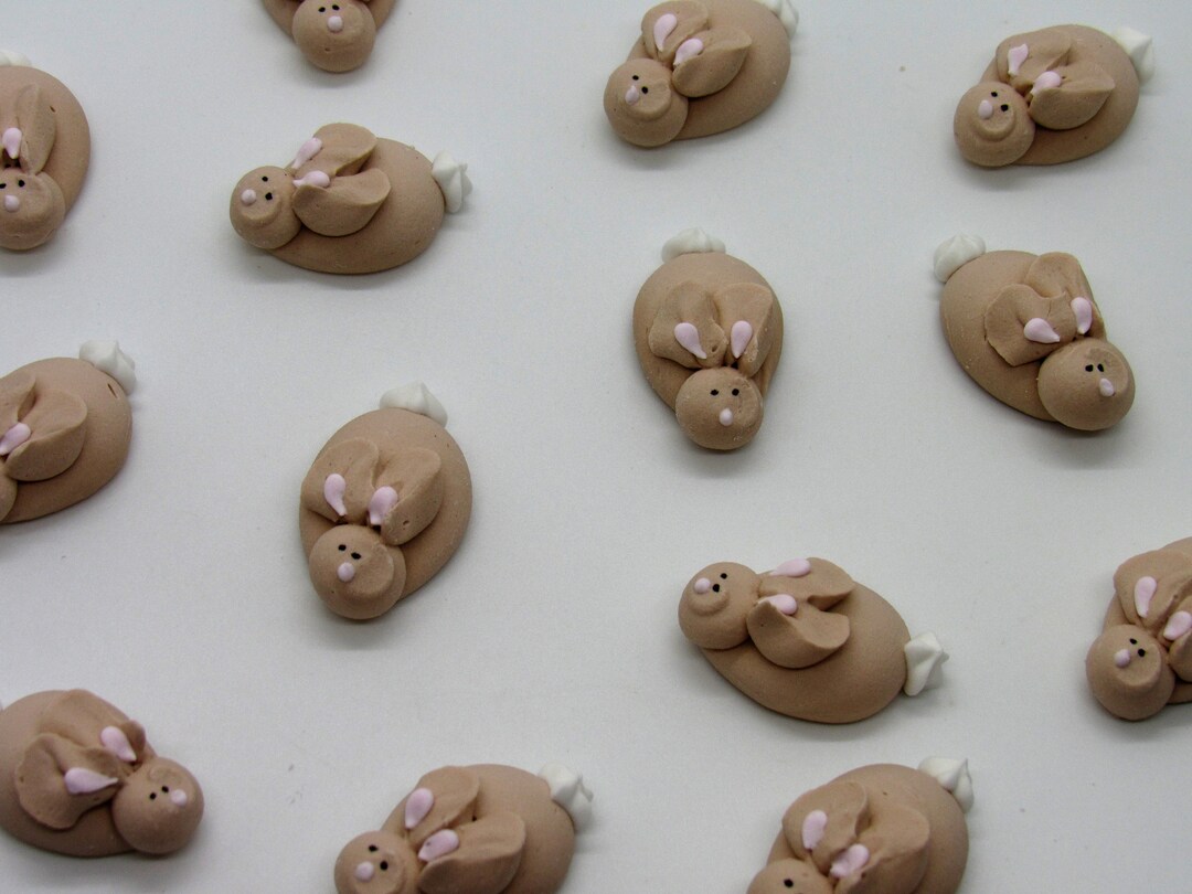 Made to Order | 1 Dozen Light Brown Royal Icing Bunnies | 1 Inch ...
