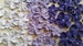 2 dozen royal icing shades of purple flowers | Ombre cake flowers | 3 sizes | Sugar flowers  | Edible cake decorations | Cupcake toppers 