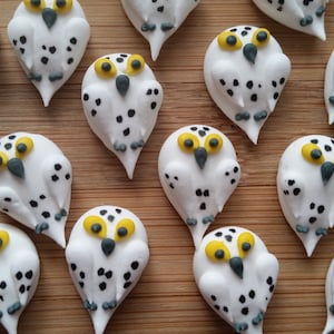 1 dozen royal icing snowy owls 1 inch Fondant owls Cake decorations cupcake toppers image 1