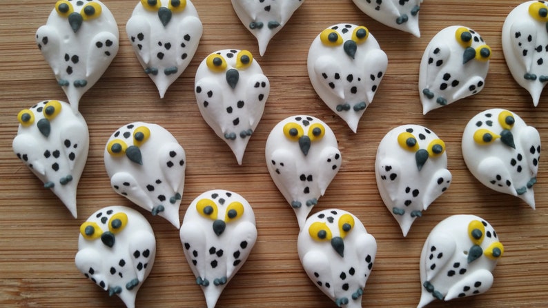 1 dozen royal icing snowy owls 1 inch Fondant owls Cake decorations cupcake toppers image 1