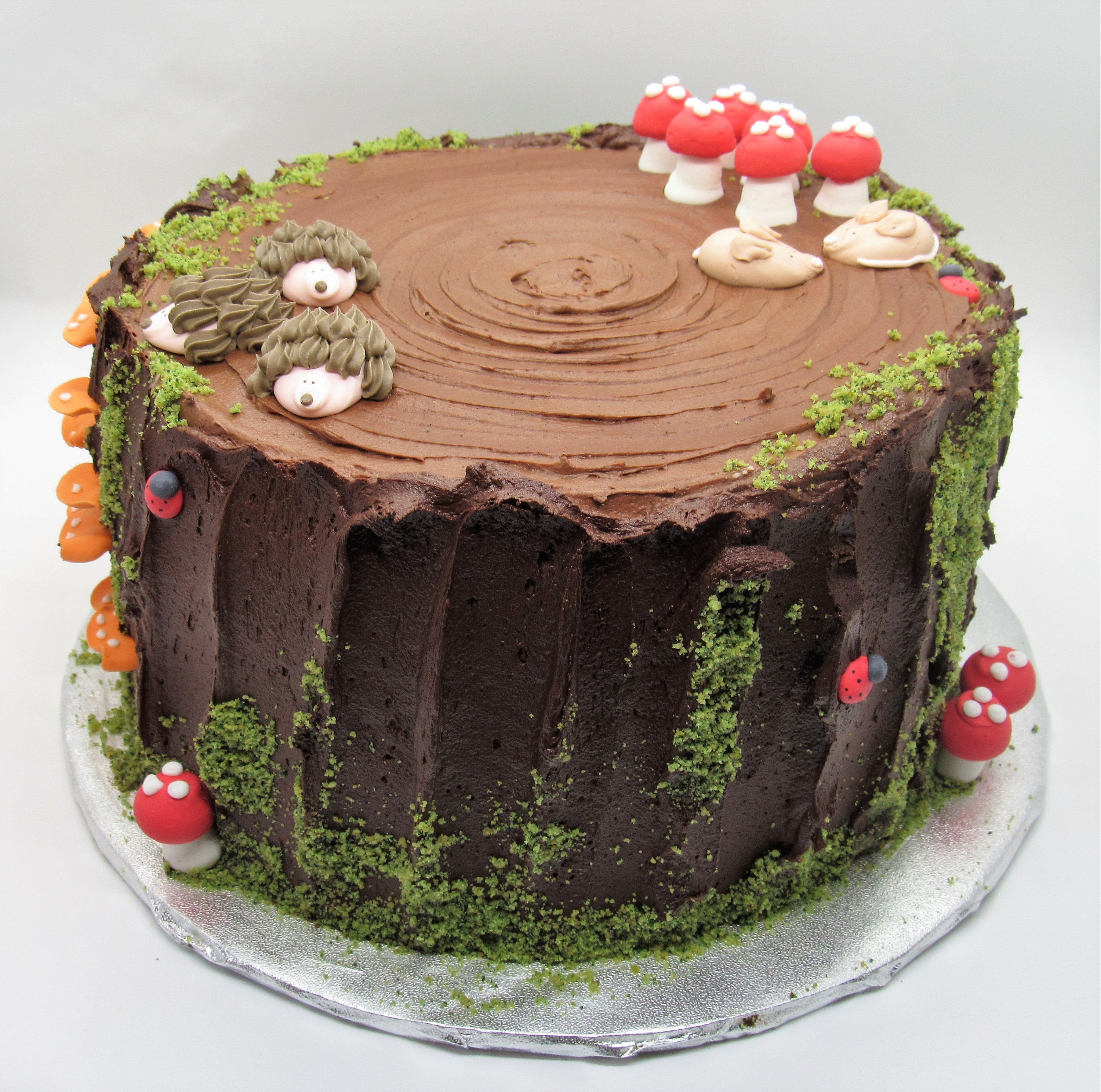 Edible Moss-Woodland Cake