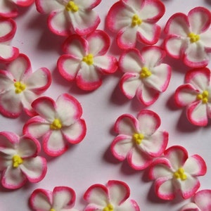 2 dozen pink-tipped white royal icing flowers | 24 pieces | 3/4 inch | Sugar flowers | Edible cake decorations