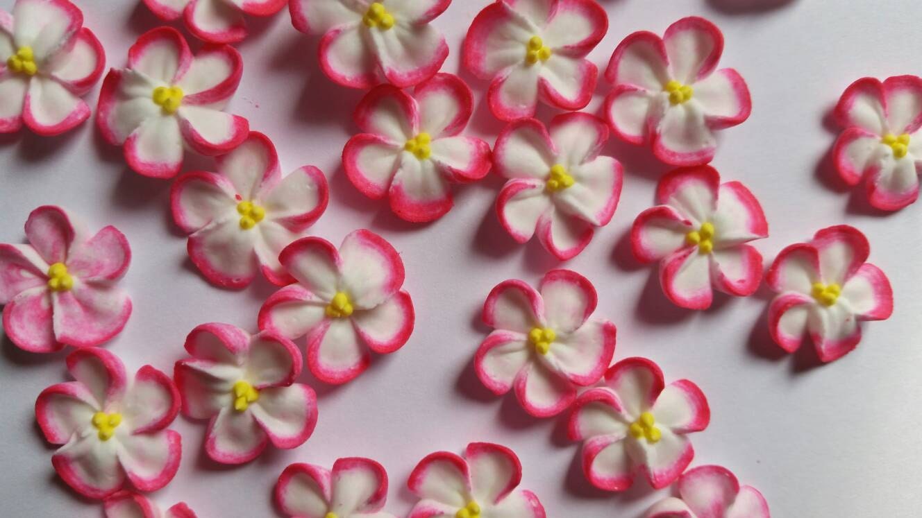 Made to order | 2 dozen pink-tipped white royal icing flowers | 24 pi…