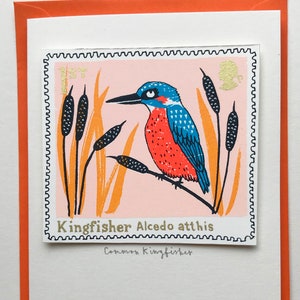 cartão de carimbo de pássaro - carimbo Kingfisher britânico/comum