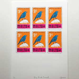 Malta/Blue Rock Thrush stamp screenprint
