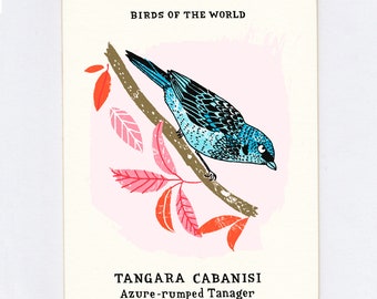 Bird screen print - Azure-Rumped Tanager