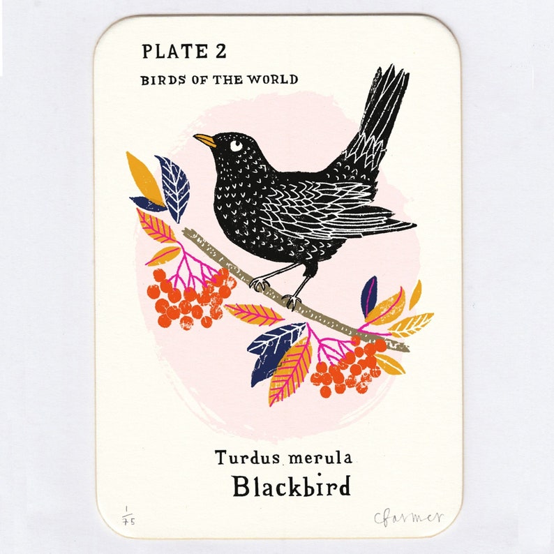 Blackbird Screen print image 1