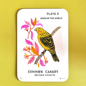 Sérigraphie canari sur papier cartonné à bordure dorée