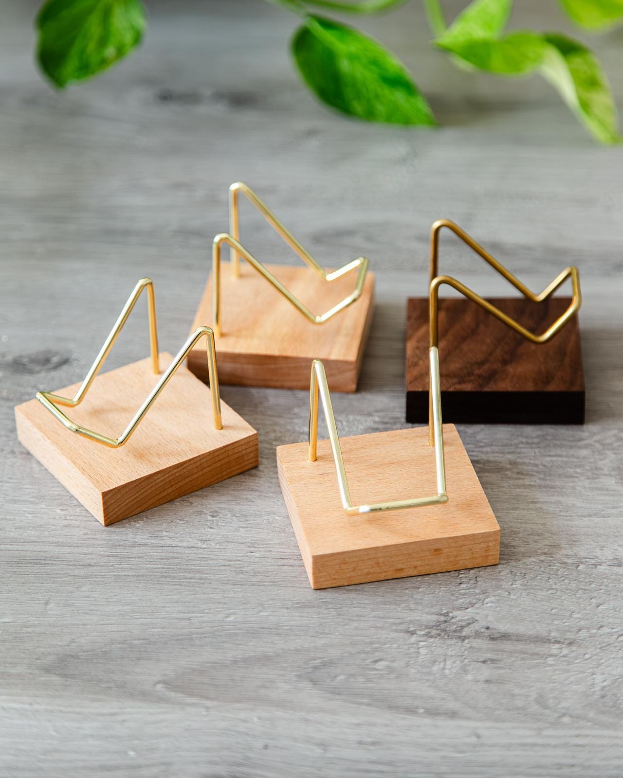 化石の展示スタンド - Etsy 日本