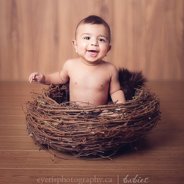 Photography prop faux owl nest-infant photo prop