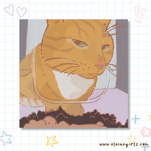 Side Eye Square Sticker | Stickers | Cute Sticker | Planner Sticker | Phone Sticker | Laptop Sticker