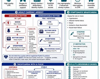ACLS Algorithm Summary | Nursing Cheat Sheet | Instant Digital Download