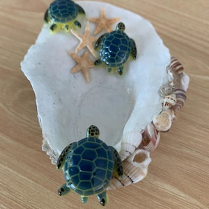 Oyster Shell with Seashells, Turtles and Starfish Trinket Tray