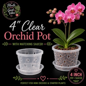 May include: A 10 cm clear plastic orchid pot with a matching saucer, featuring drainage holes along the sides and base. One pot is shown empty, while another contains a potted pink orchid plant with dark green leaves and brown potting medium.