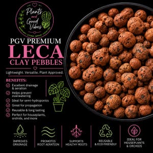 Może przedstawiać: Czarna miska wypełniona okrągłymi, porowatymi, czerwonobrązowymi kulkami glinianymi. Tekst głosi: Plants and Good Vibes, PGV Premium LECA Clay Pebbles, Lightweight, Versatile, Plant Approved, Benefits, Improves Drainage, Promotes Root Aeration, Supports Healthy Roots, Reusable and Eco Friendly.