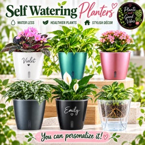 May include: Six self-watering planters in white, teal, pink, dark gray, black, and clear plastic. The white planter features the name Violet, and the black planter features the name Emily. Each pot includes a water level indicator window.