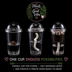 May include: Three clear plastic cups with dome lids on a black background. The first contains water and a corm, the second a white wick in water, and the third a self-watering setup with soil, perlite, and a wick. Text reads: Plants and Good Vibes, ONE CUP. ENDLESS POSSIBILITIES. PUDDLE CUP FOR CORMS, SELF WATERING SETUP, ADD STRATUM & PERLITE WHEN READY TO GROW.