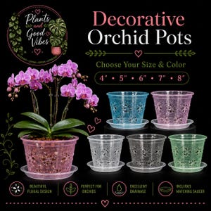 Op de afbeelding: Decoratieve orchideeënpotten in blauw, roze, transparant en groen, elk met een bloemvormig uitgesneden patroon en een bijpassende schotel. De tekst luidt Decorative Orchid Pots, Choose Your Size & Color, 4, 5, 6, 7, 8 inch.